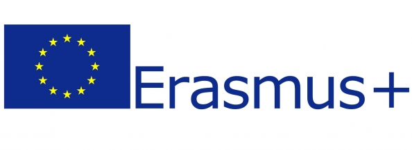 Report on Erasmus+ student mobility