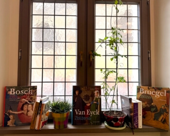 European Humanities University Receives a Gift of Books from the Embassy of the Kingdom of the Netherlands